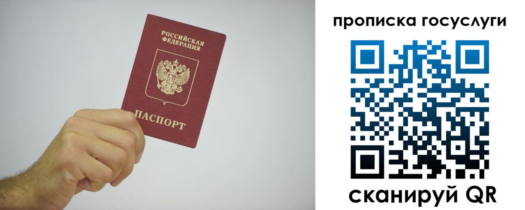 прописка законно в Камышине